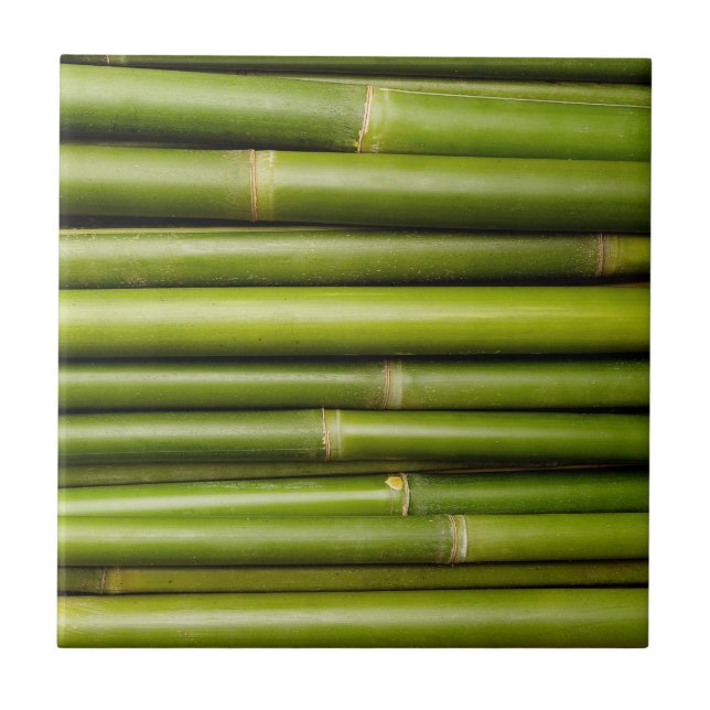 Green Tropical Bamboo Plant Botanical Ceramic Tile (Front)