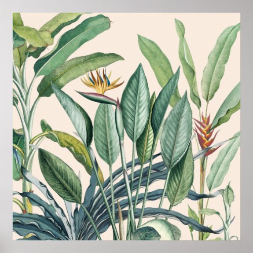 Green Tropical Jungle Banana Tree Strelitzia Poster