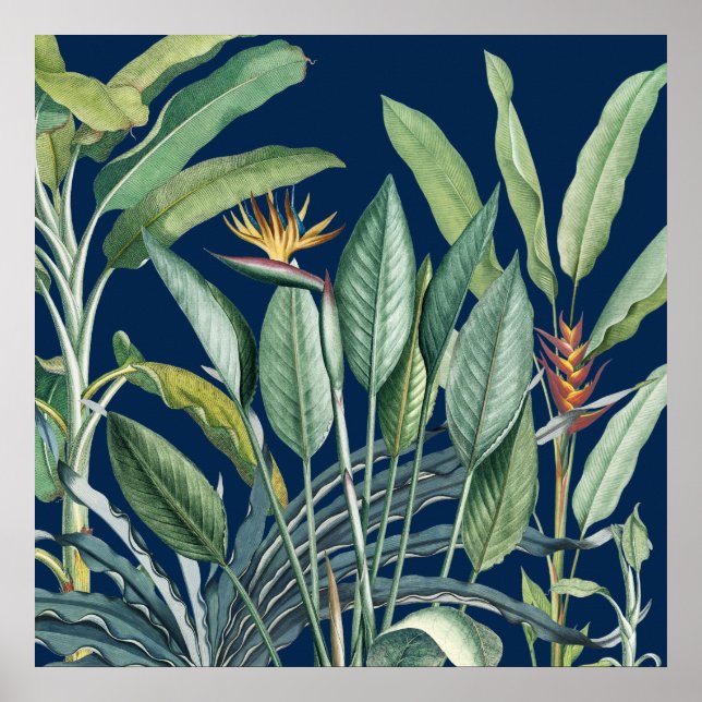 Green Tropical Jungle Banana Tree Strelitzia Poster (Front)