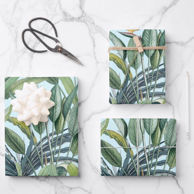Green Tropical Jungle Banana Tree Strelitzia Wrapping Paper Sheets (Front)