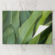Green Tropical Leaves Paper Placemat