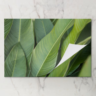 Green Tropical Leaves Paper Placemat