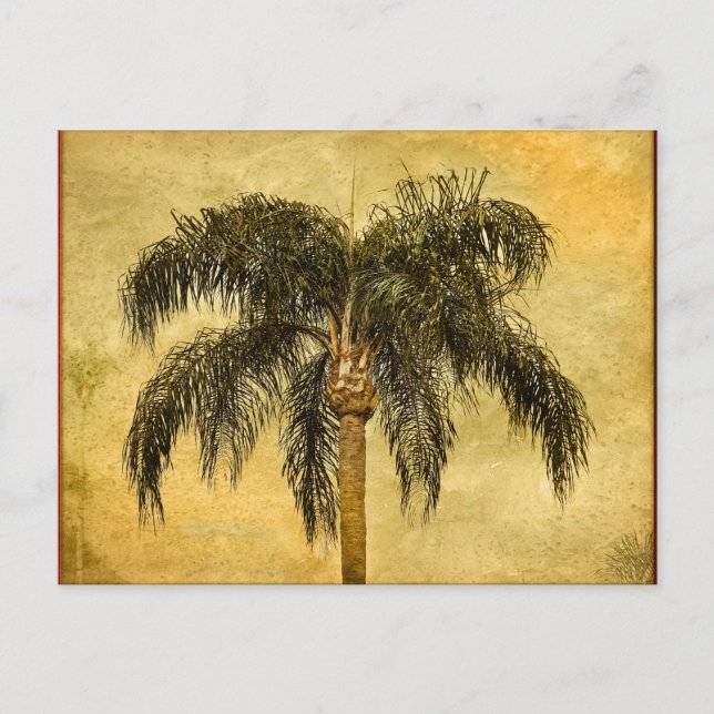 Green Tropical Palm Tree Hawaiian Vintage Palms Postcard (Front)