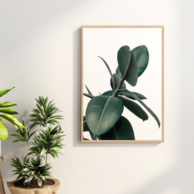 Green Tropical Plant Poster (Green Tropical Plant Poster on the wall surronded with green house plants.)