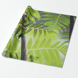  Green Tropical Wrapping Paper