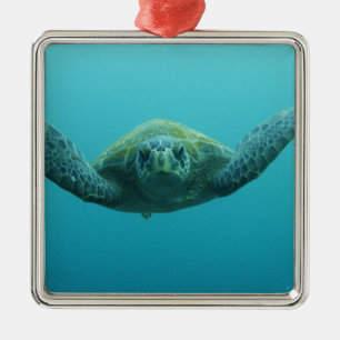 Green Turtle (Chelonia mydas agassisi), Central Metal Ornament