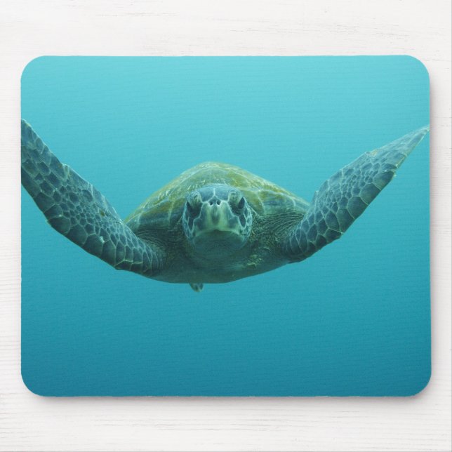 Green Turtle (Chelonia mydas agassisi), Central Mouse Pad (Front)