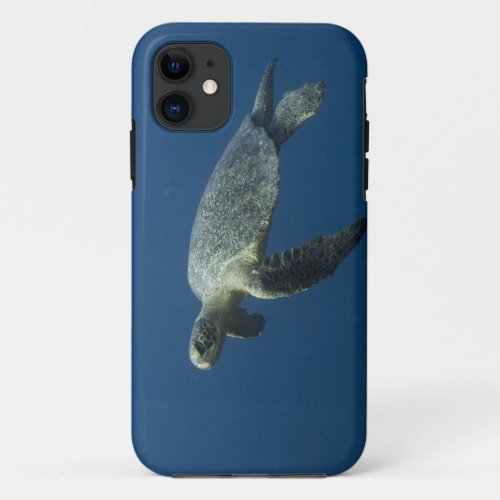 Green Turtle Chelonia mydas agassisi off Wolf iPhone 11 Case