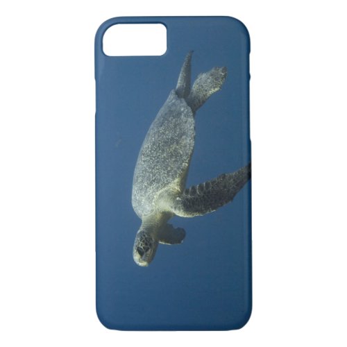 Green Turtle Chelonia mydas agassisi off Wolf iPhone 87 Case