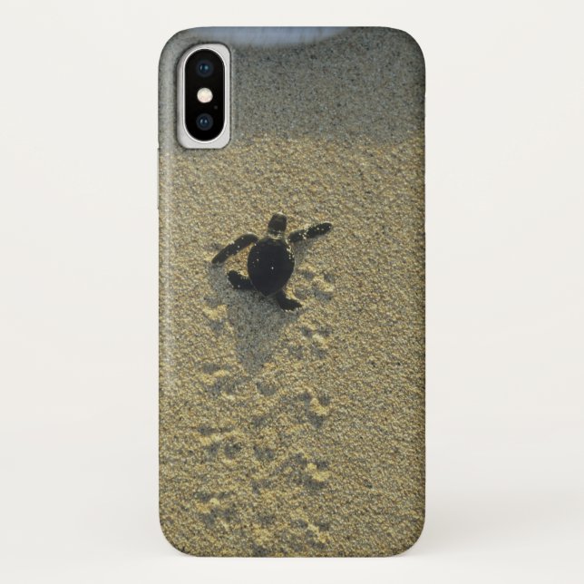 Green Turtle, (Chelonia mydas), hatchling Case-Mate iPhone Case (Back)