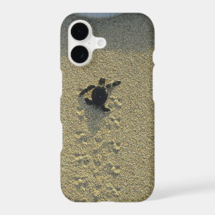 Green Turtle, (Chelonia mydas), hatchling iPhone 17 Case