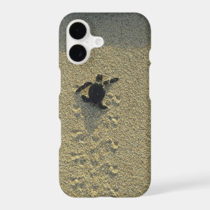 Green Turtle, (Chelonia mydas), hatchling iPhone 17 Case