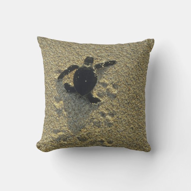 Green Turtle, (Chelonia mydas), hatchling Throw Pillow (Front)