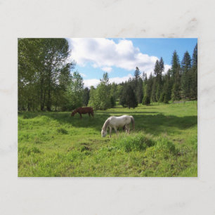 Green Valley Bible Verse Encouragement Card
