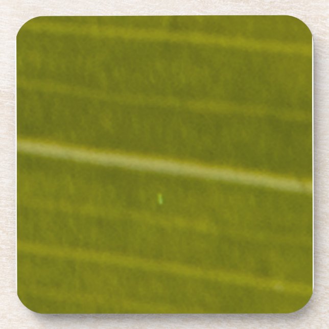 Green Variegated Hawaiian Leaf Coaster (Front)