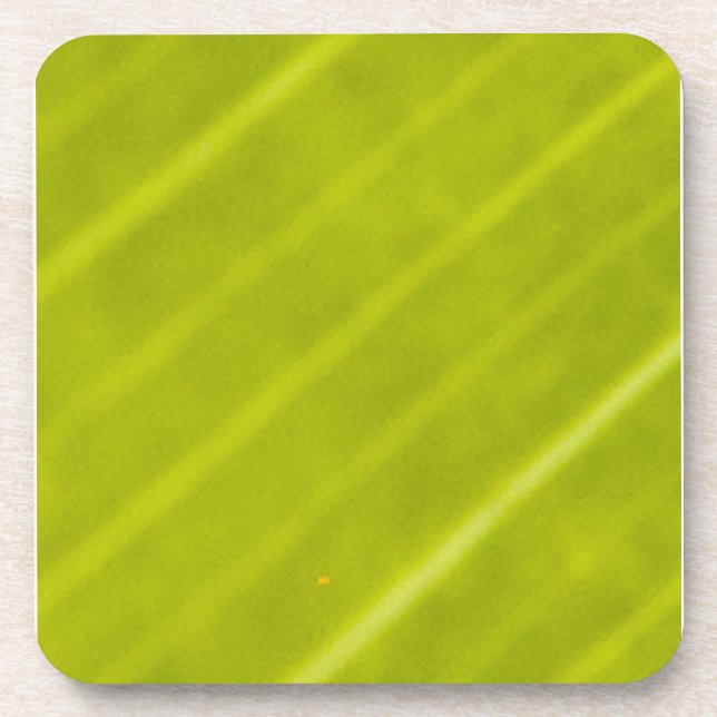 Green Variegated Hawaiin Leaf 3 Drink Coaster (Front)
