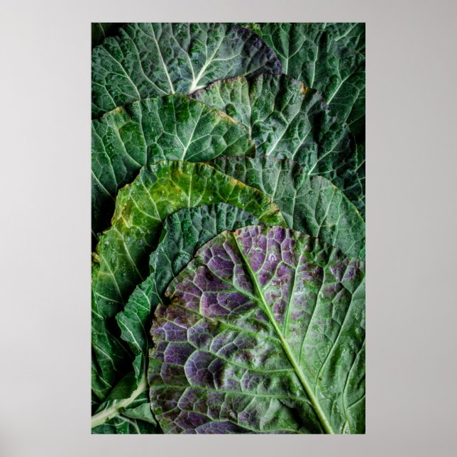 Green vegetable poster (Front)