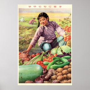 Green Vegetables Plump Cucumber, Abundant Harvest! Poster