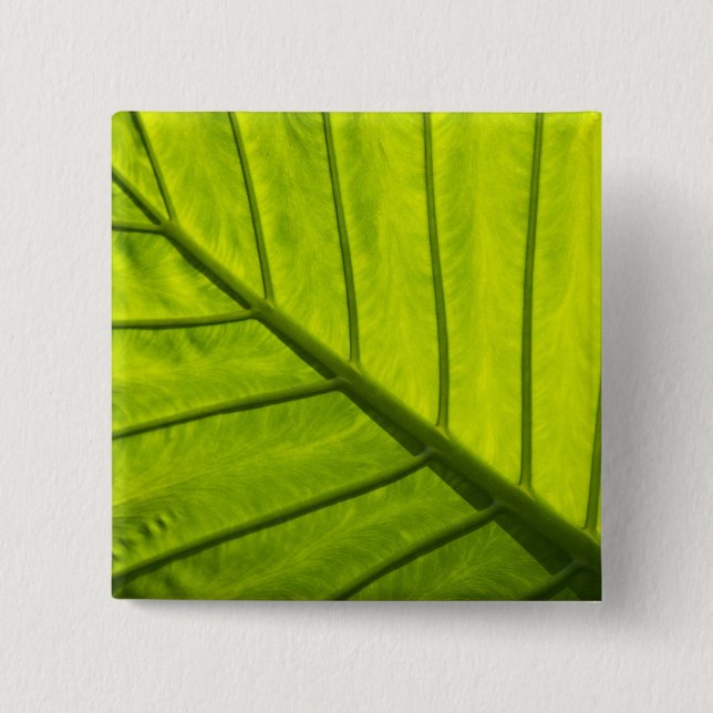 Green veined leaves of tropical foliage in 2 button (Front)