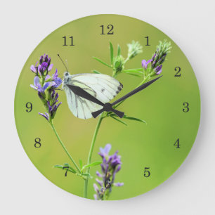 Green Veined White Butterfly Large Clock