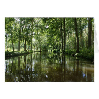 Green Venice Coulon France Cards