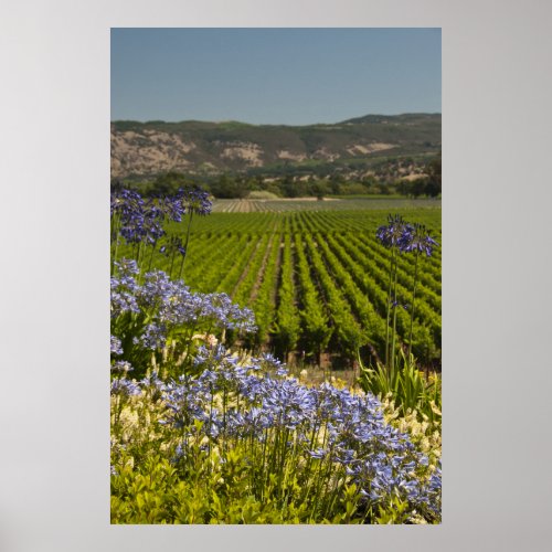 Green Vineyard and Purple Flowers Poster