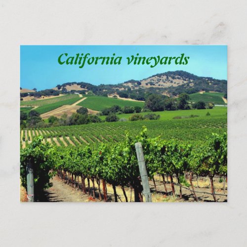green vineyard photograph postcard