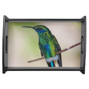 Green Violet-ear Hummingbird Serving Tray