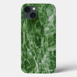 Green Water iPhone 13 Case