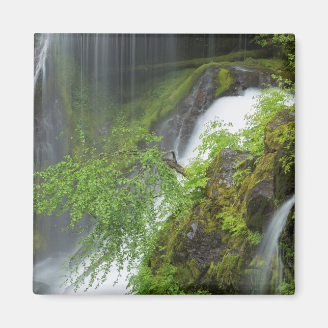 Green Waterfall Scenic Magnet (Front)