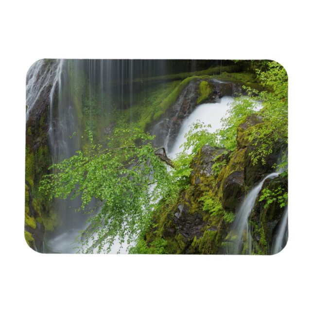 Green Waterfall Scenic Magnet (Horizontal)
