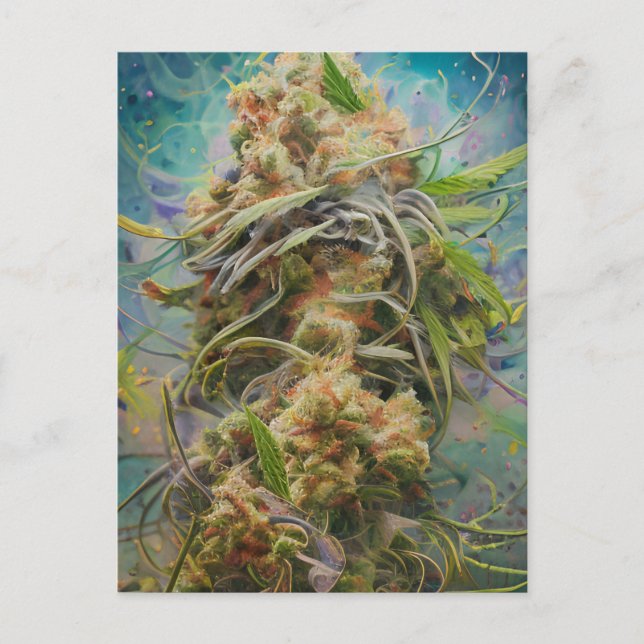 Green Weed Postcard (Front)