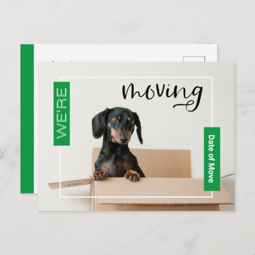 Green Were Moving Dachshund Dog in Box Postcard