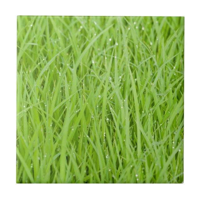 Green wet grass design ceramic tile (Front)