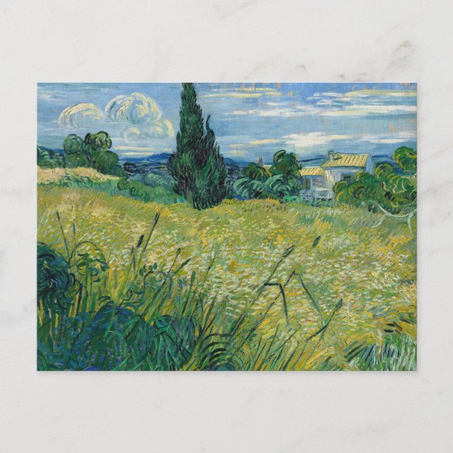 Green Wheat Field with Cypress | Vincent van Gogh Postcard (Front)
