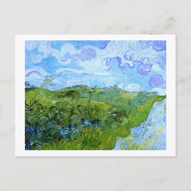 Green Wheat Fields Van Gogh Fine Art Postcard (Front)