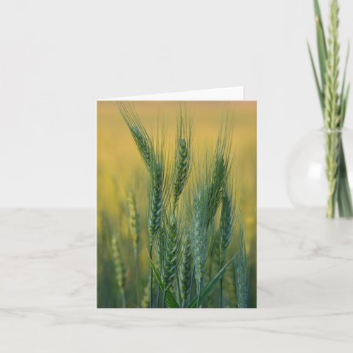 Green Wheat Note Card