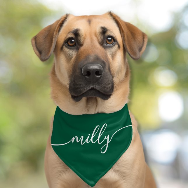 Green White Elegant Calligraphy Script Name Dog Pet Bandana Collar (Creator Uploaded)