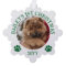 Green White Paw Prints Puppy's 1st Christmas