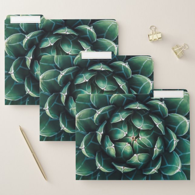 Green & White Succulent File Folder (Set)