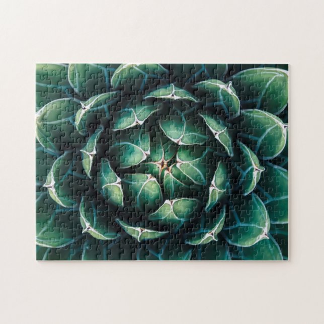 Green & White Succulent Jigsaw Puzzle (Horizontal)