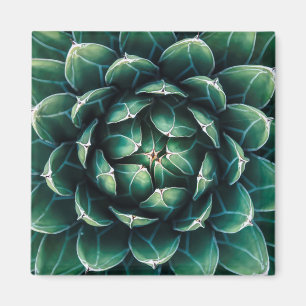 Green & White Succulent Magnet