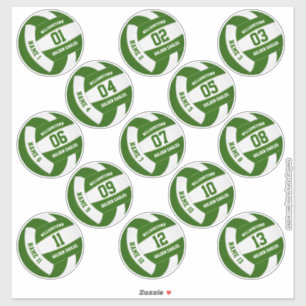 green white volleyball team colors players names sticker