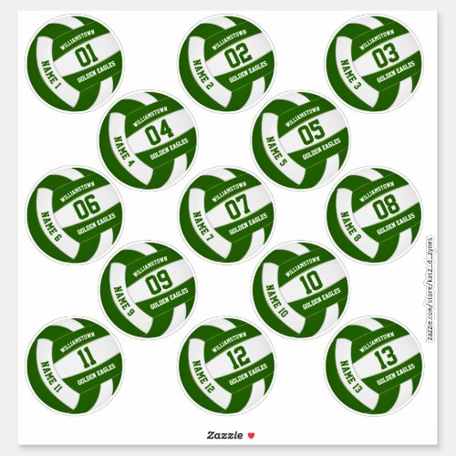 green white volleyball team colors players names sticker