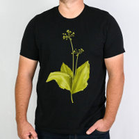 Green wild garlic plant botanical art T-Shirt