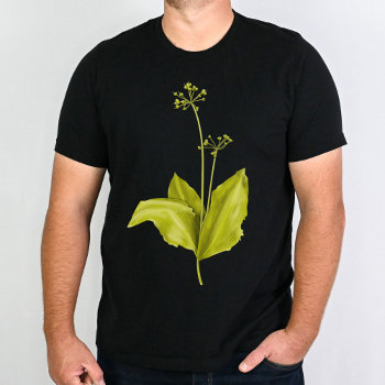 Green Wild Garlic Plant Botanical Art T-shirt by borianag at Zazzle