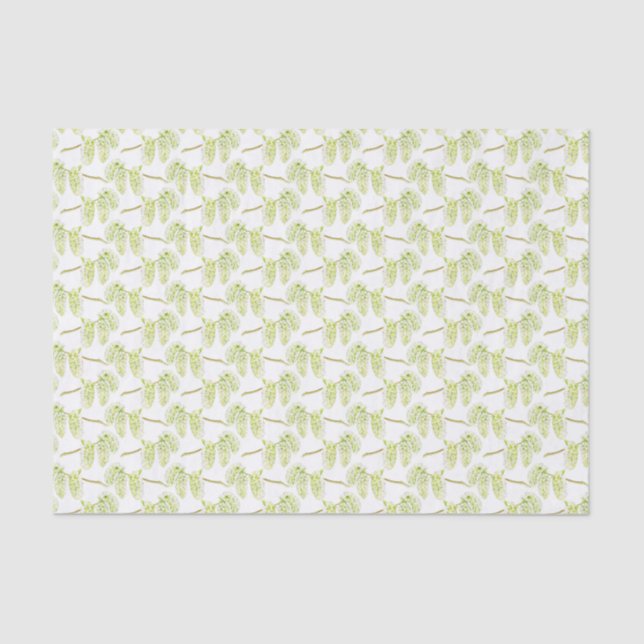 Green willow art watercolor tissue paper (Front)