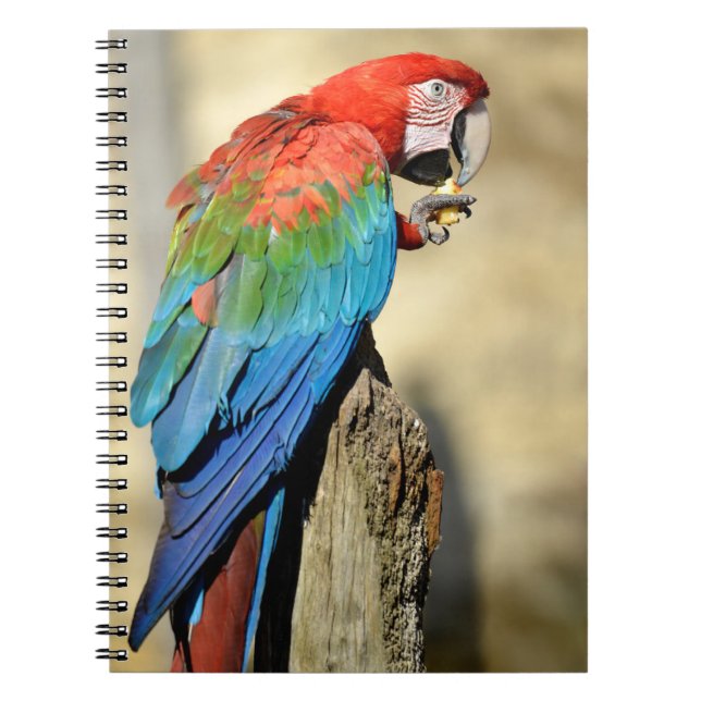 Green-winged Macaw on perch Notebook (Front)