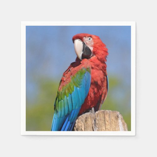 Green_winged macaw perched napkins