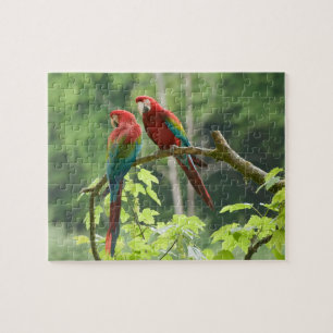 Green-winged Macaws Jigsaw Puzzle